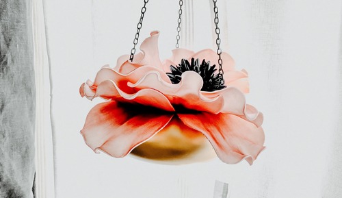 Comfort Studio, Multiple Beds