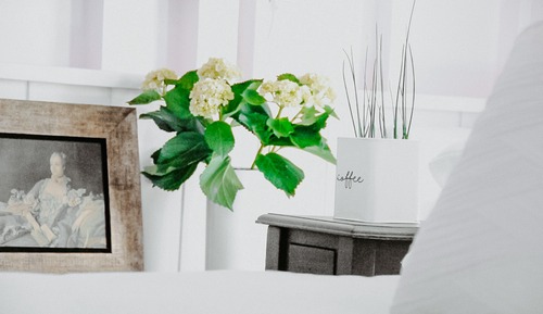 Executive Studio, Multiple Beds