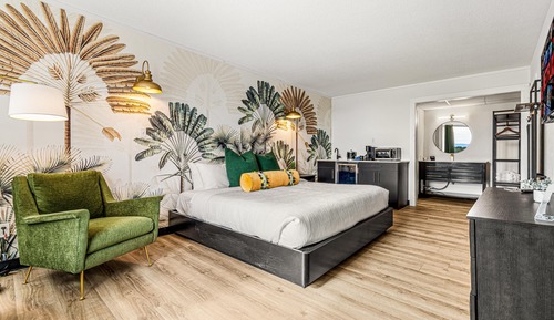 Pet Friendly-King room