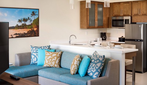 Studio, 1 King Bed with Sofa bed, Bathtub Grab Bars, Kitchen (Mobility/Hearing Accessible)