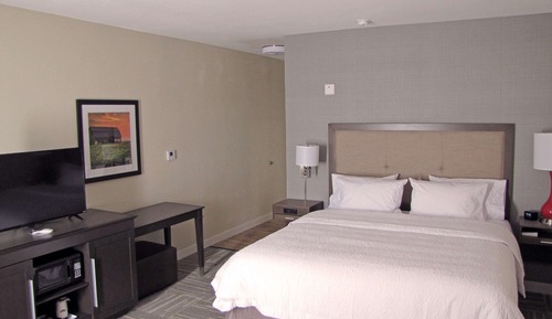 Room, 1 King Bed with Sofa bed, Non Smoking