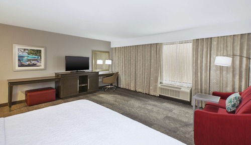 Room, 1 King Bed with Sofa bed, Non Smoking, Refrigerator & Microwave