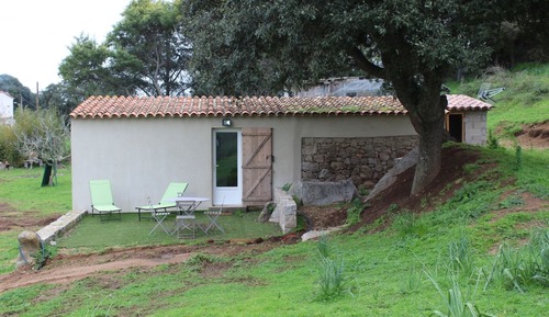 Exclusive Double Room