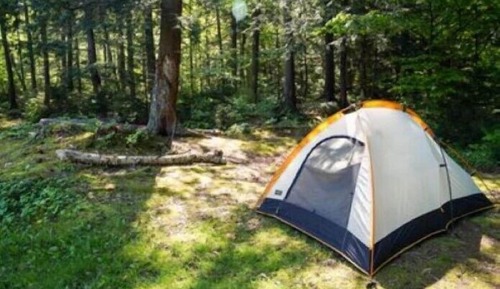 Standard Tent