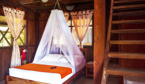 Family Cabin, Multiple Beds, Balcony, Pool View