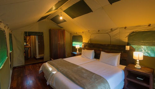 Safari Tent 