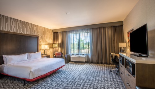Standard Room, 1 King Bed, Mobility Accessible (Roll-In Shower)