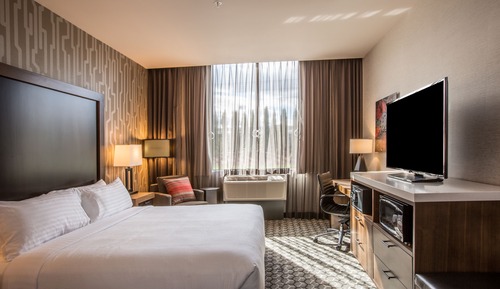 Standard Room, 1 King Bed with Sofa bed