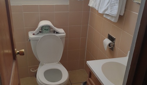 Standard Room, 2 Queen Beds (Pet-Friendly)