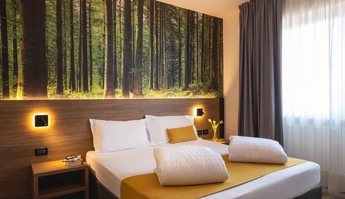 Standard Double Room Single Use