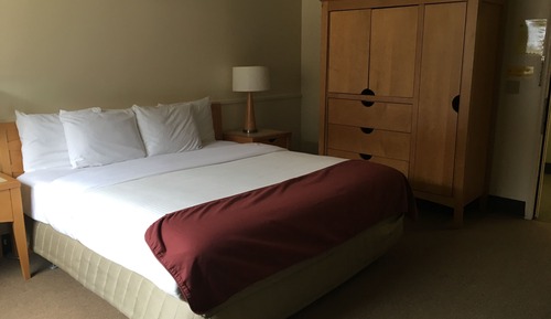 Standard Single Room, 1 King Bed