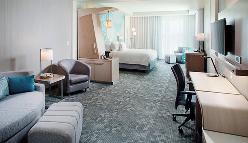 Suite, 1 King Bed with Sofa bed