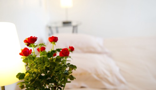 Standard Room (Violette)