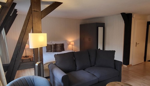 City Apartment, 1 Bedroom