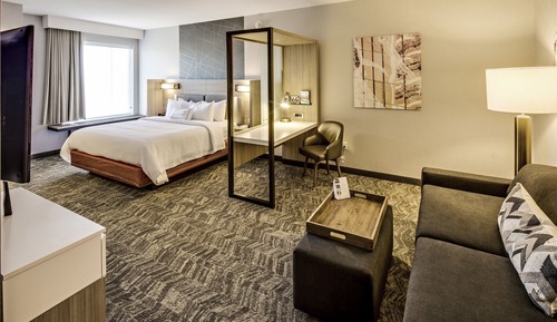 Suite, 1 King Bed with Sofa bed, Non Smoking (Hearing Accessible)