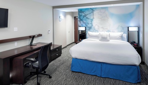 Room, 1 King Bed with Sofa bed (Mobility Accessible, Tub)