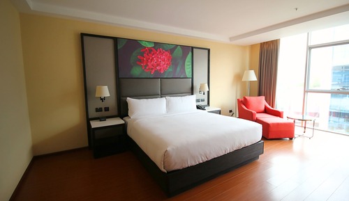 Room, 1 King Bed, Accessible, Non Smoking (w/ roll-in shower)