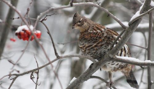 Deluxe Double Room with Bath