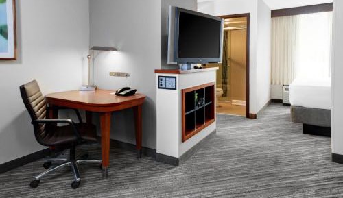 Specialty King Room with Sofa Bed