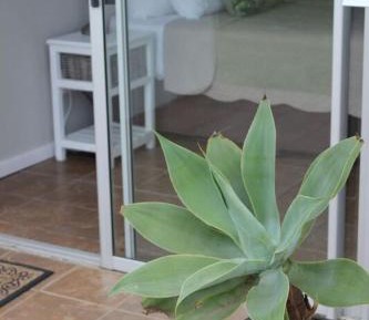 King Room with Sea View