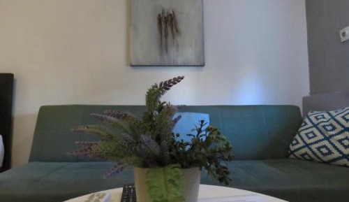 Studio with Terrace