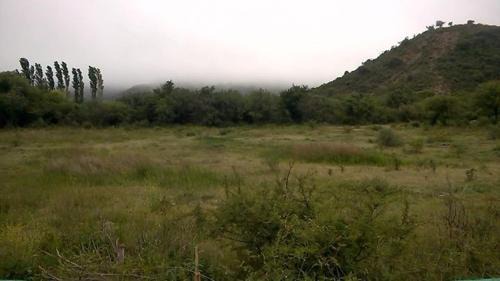 Apartment with Garden View