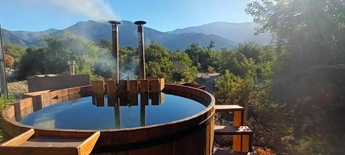 Family Room with Garden View