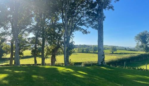 Family Room with Garden View