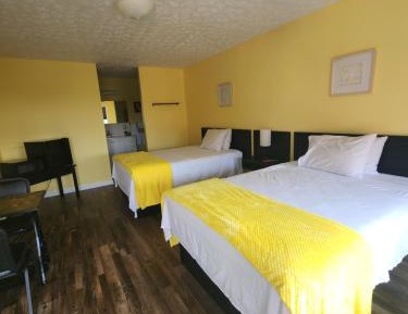 Pet Friendly Standard Room