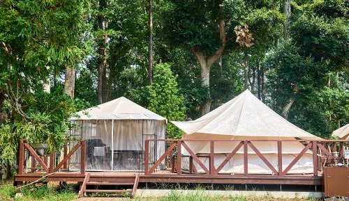 Glamping Tent - Cliff