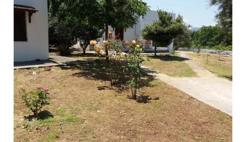 Two-Bedroom Superior Apartment