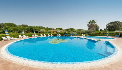 Superior One-Bedroom Apartment