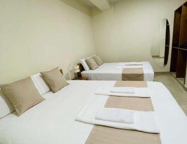 Deluxe One-Bedroom Apartment