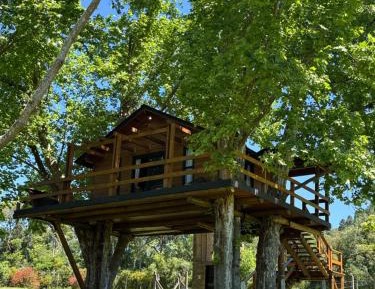 One-Bedroom Chalet