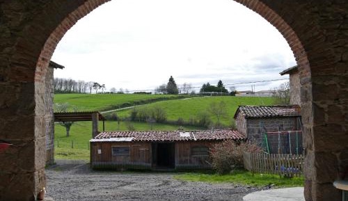 Superior One-Bedroom Apartment