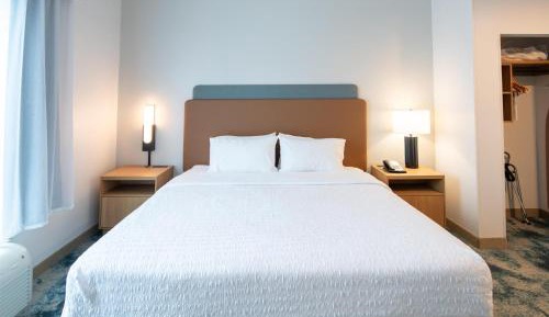 One-Bedroom King Suite with Sofa Bed - Non-Smoking