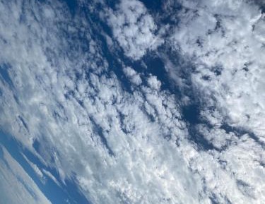 Studio - Disability Access