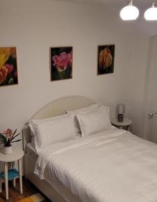 Two-Bedroom Deluxe Apartment