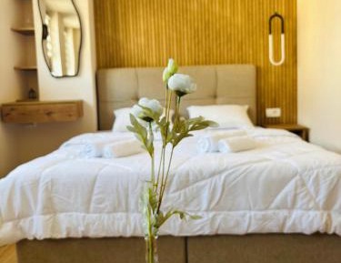 Deluxe Double or Twin Room with City View