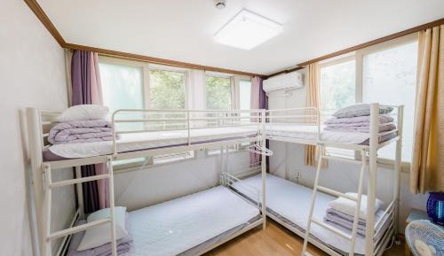 Bunk Bed in Mixed Dormitory Room
