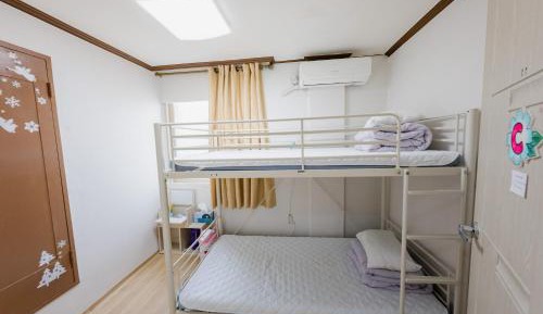 Bunk Bed in Mixed Dormitory Room