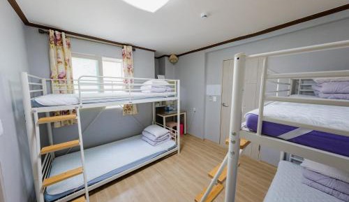Bunk Bed in Female Dormitory Room  