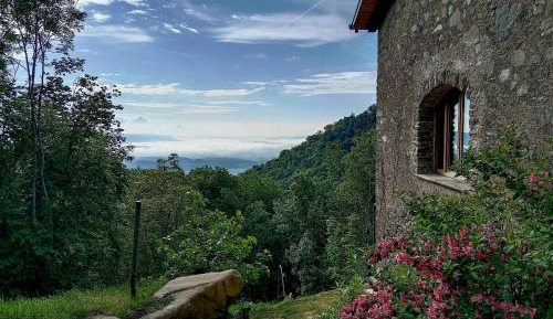 Studio with Garden View
