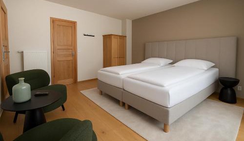 Deluxe Double or Twin Room with Balcony