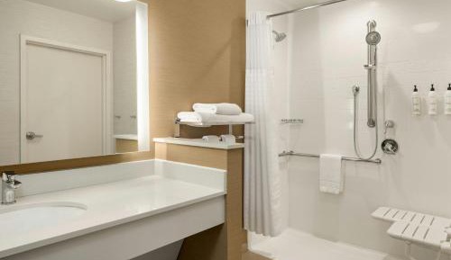 King Suite with Sofa Bed and Roll-in Shower - Mobility and Hearing Accessible