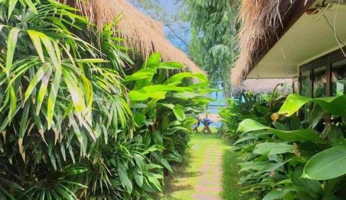 King Room with Garden View