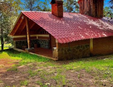 Family Bungalow