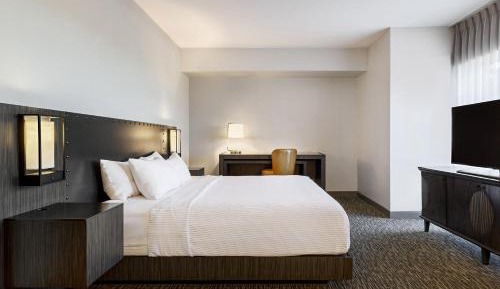 Junior King Suite