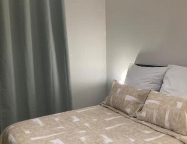 Deluxe One-Bedroom Apartment