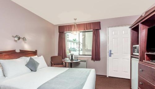 Queen Room - Pet Friendly/Non-Smoking